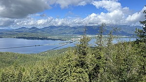 feature photo