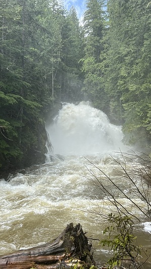 feature photo