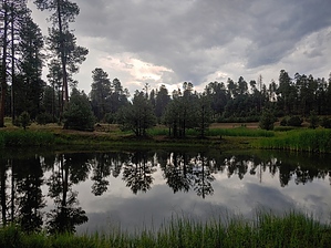 feature photo