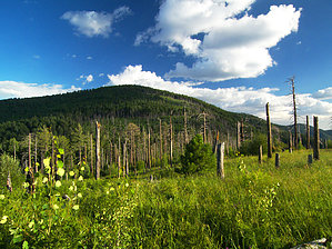 feature photo