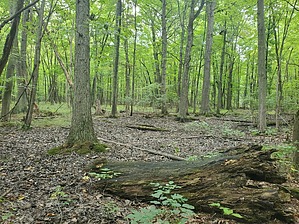 feature photo
