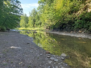 feature photo