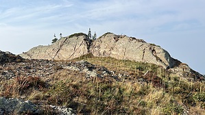 feature photo