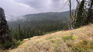 feature photo