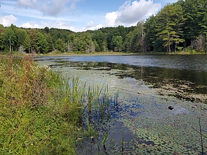 feature photo