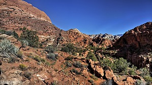 feature photo