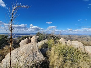 feature photo