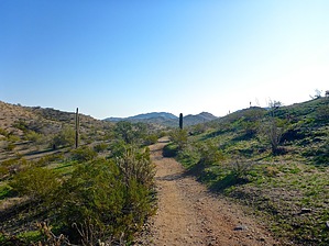 feature photo