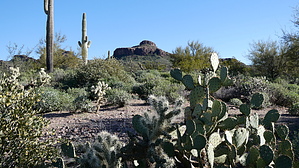 feature photo
