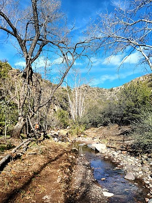feature photo
