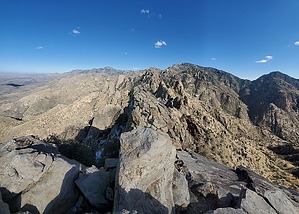 feature photo