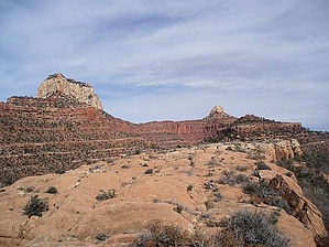 feature photo