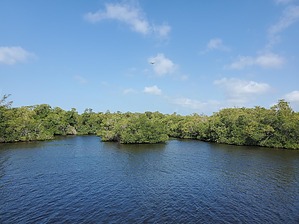 feature photo