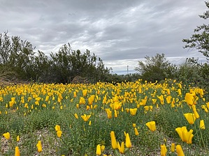 feature photo