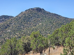 feature photo