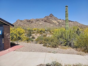feature photo