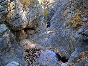 feature photo