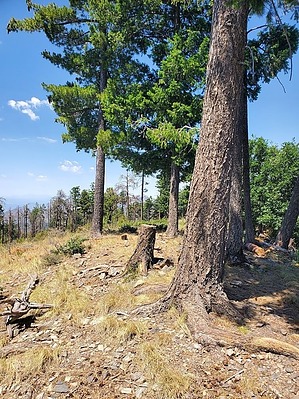 feature photo