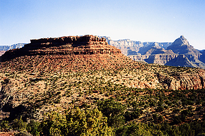 feature photo