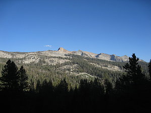 feature photo