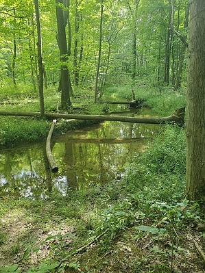 feature photo
