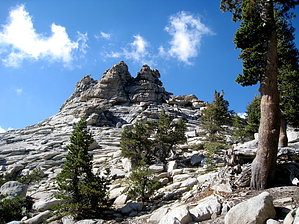 feature photo