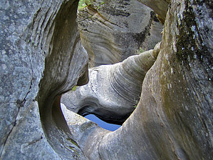 feature photo