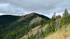 feature photo