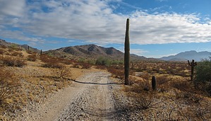 feature photo