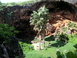 feature photo