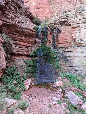 feature photo