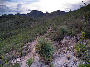 feature photo