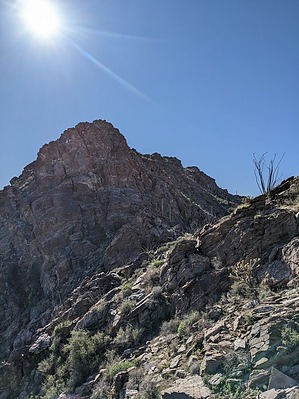 feature photo