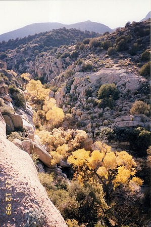 feature photo