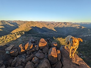 feature photo