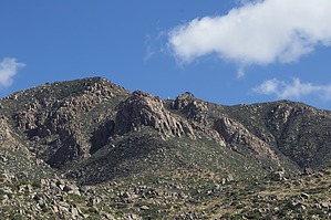 feature photo