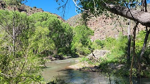 feature photo