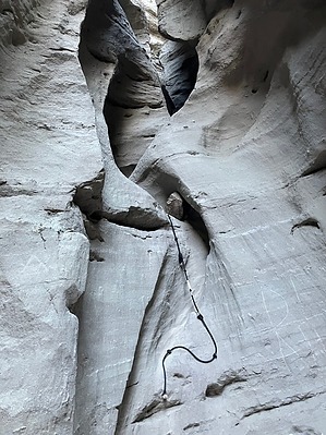 feature photo