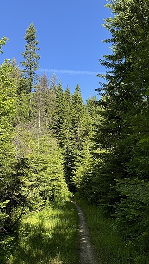 feature photo