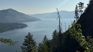 feature photo