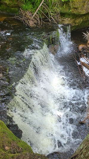 feature photo