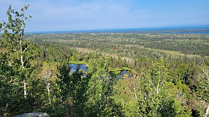 feature photo