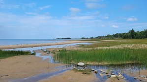 feature photo