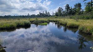 feature photo