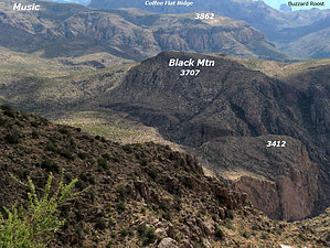 feature photo