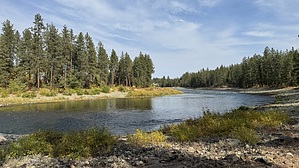 feature photo