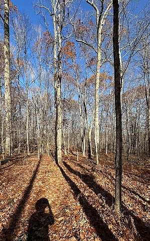feature photo