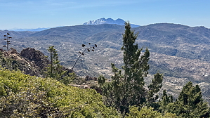 feature photo