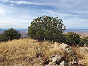 feature photo