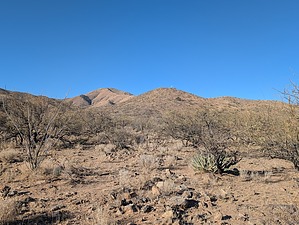 feature photo
